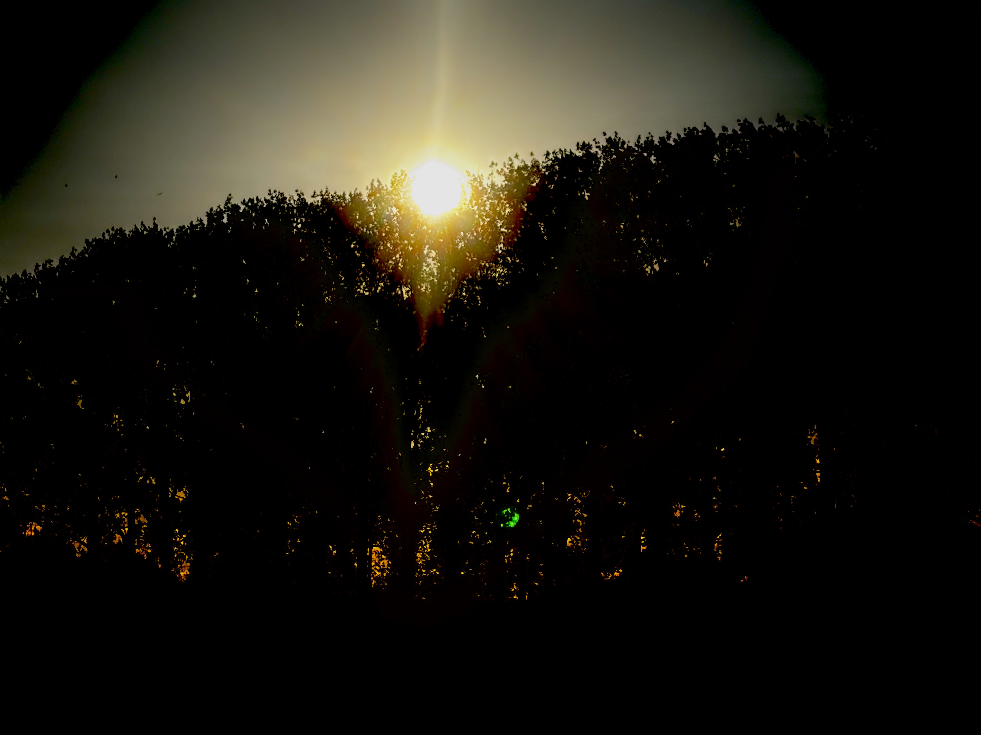 iPhone photo